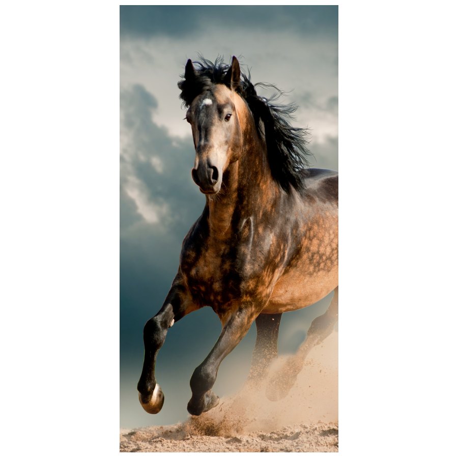 Bavlnená osuška s koňom 06 70x140 cm